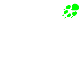 Green Foxtrail logo paw prints